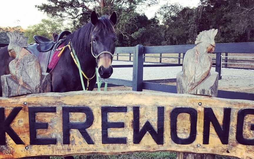 Southern Cross Horse Treks, Lorne, NSW