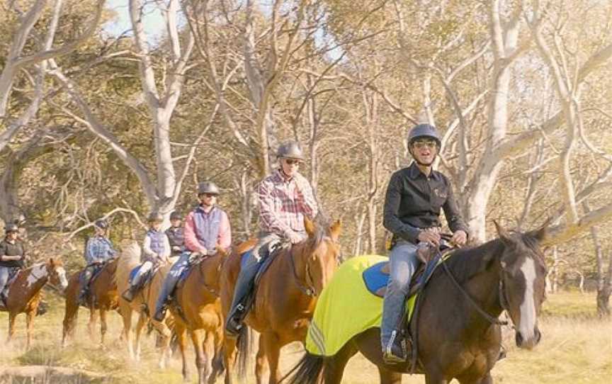 Woodlands Trail Riding, Greenvale, VIC