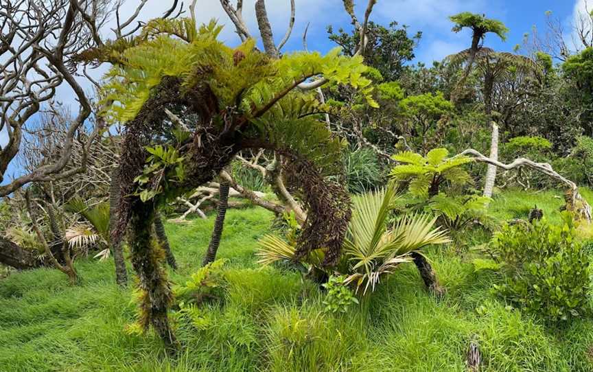 Lord Howe Island - Sea to Summit Expeditions, Lord Howe Island, NSW