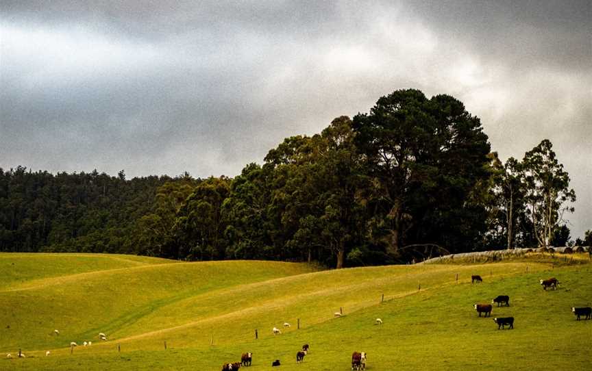 Eudaimonia Tasmanian Cycling Tours, Hobart, TAS