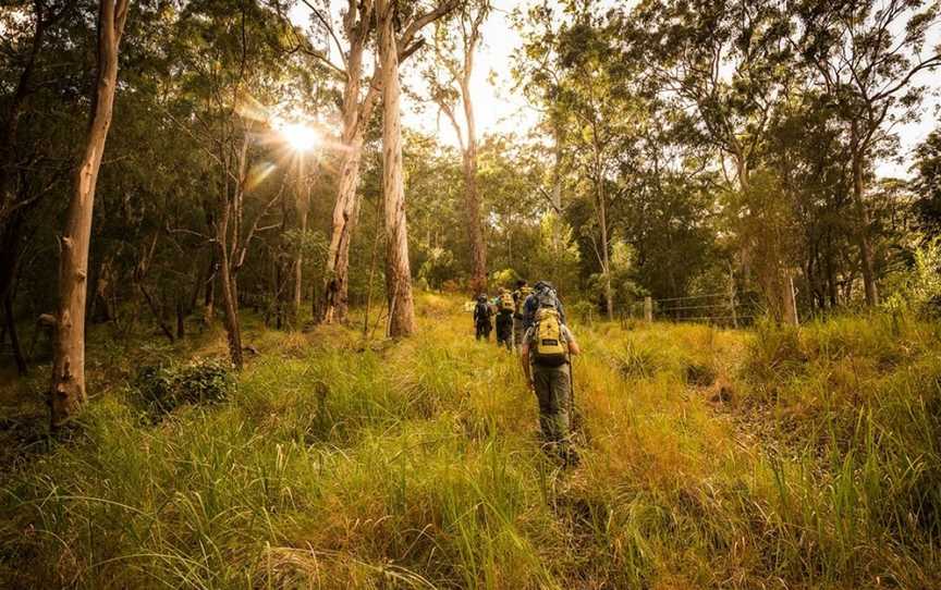 Scenic Rim Trail, Scenic Rim, QLD