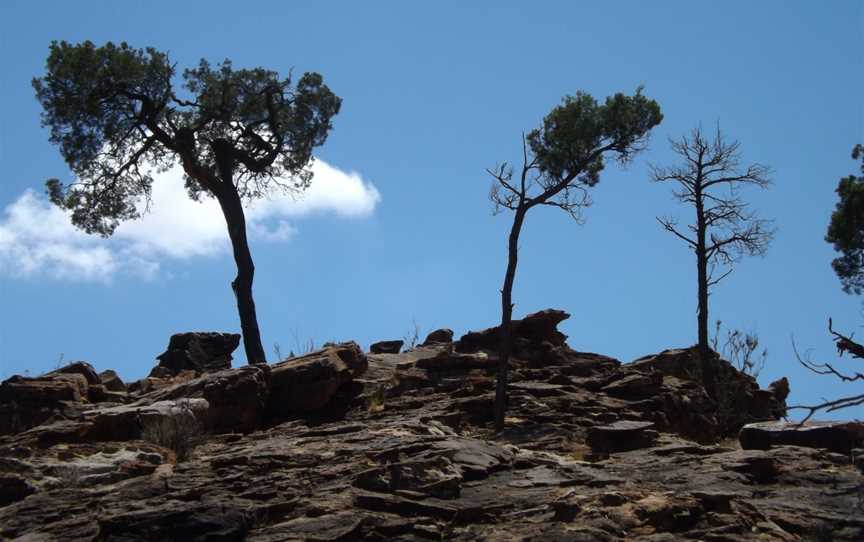 Mutawintji Heritage Tours, Wilcannia, NSW