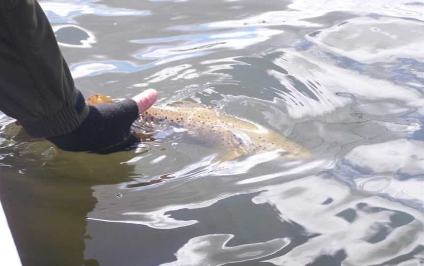 Unique Fishing Tours, Launceston, TAS