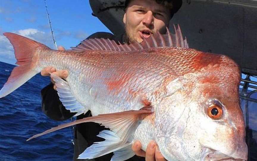 Moreton Island Fishing Charters, Brisbane, QLD