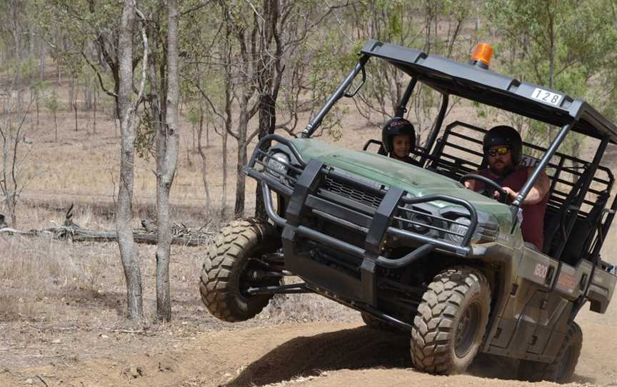 Oz Buggy Tours, Kingaham, QLD