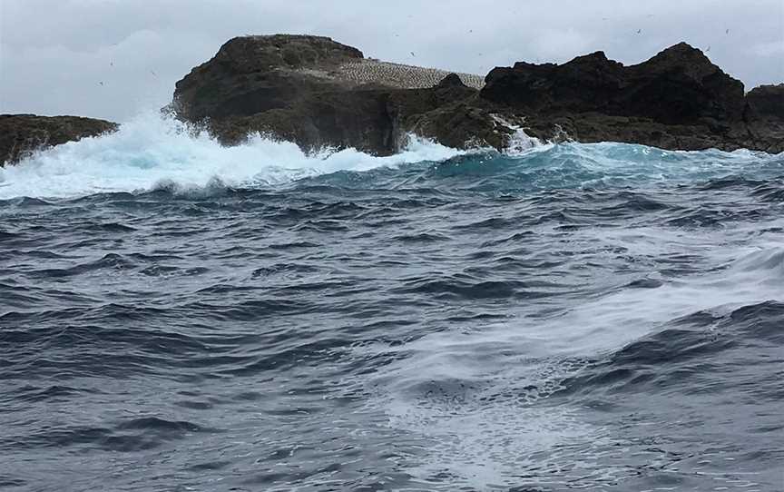 Portland Harbour Tours, Portland, VIC