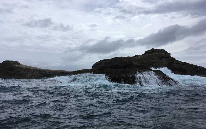 Portland Harbour Tours, Portland, VIC