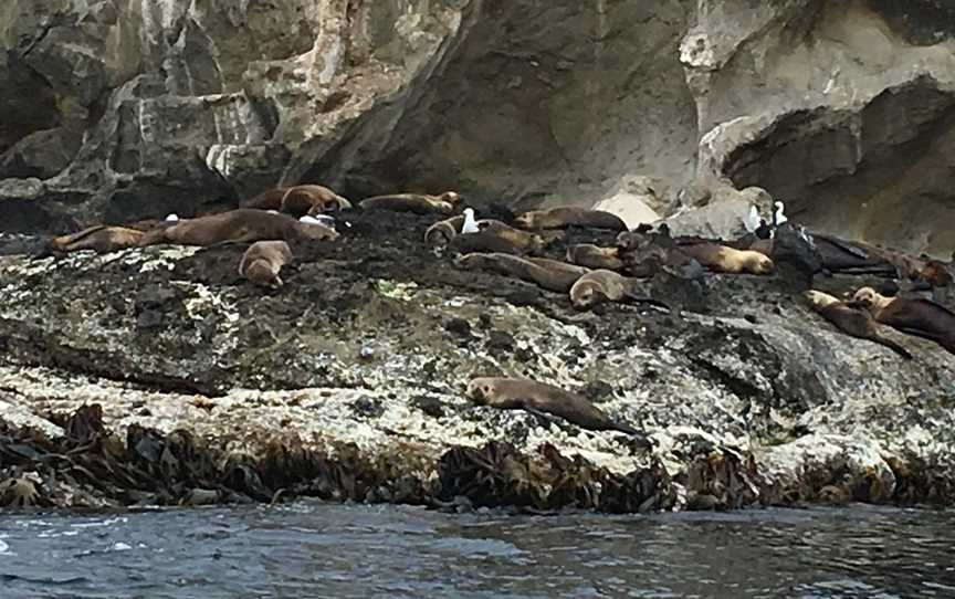 Portland Harbour Tours, Portland, VIC