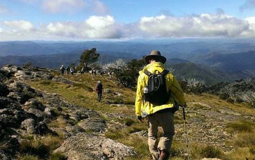 Hedonistic Hiking - Day Tours, Porepunkah, VIC