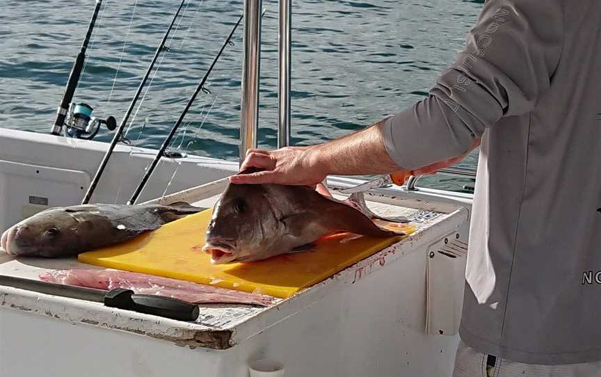 Fishing Offshore Noosa, Noosaville, QLD