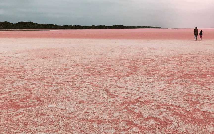 Pink Lake Buggy Tours, Kalbarri, WA