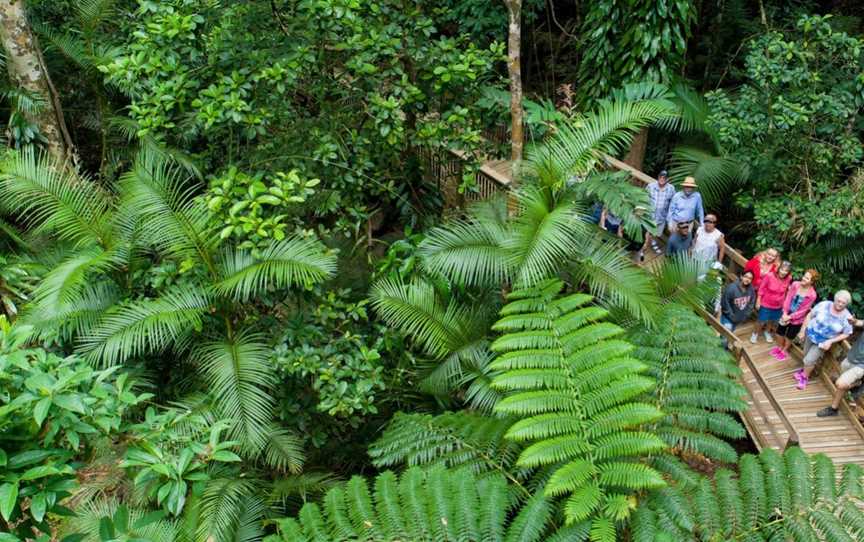 Billy Tea Safaris, Port Douglas, QLD