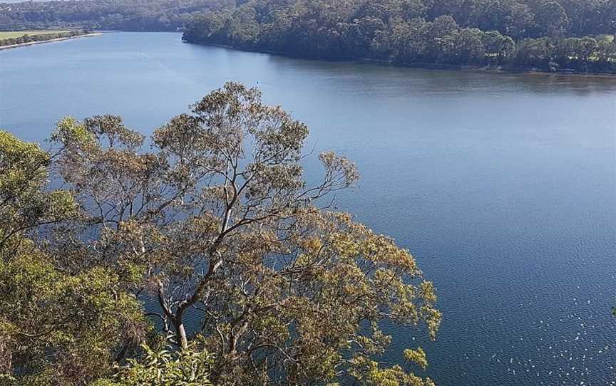 Shoalhaven River Cruise, Nowra, NSW