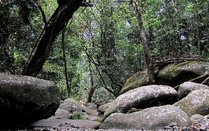 Mason's Tours, Cape Tribulation, QLD