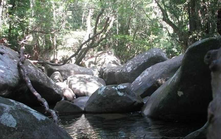 Mason's Tours, Cape Tribulation, QLD