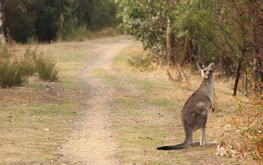 Hiking Habit, Melbourne, VIC