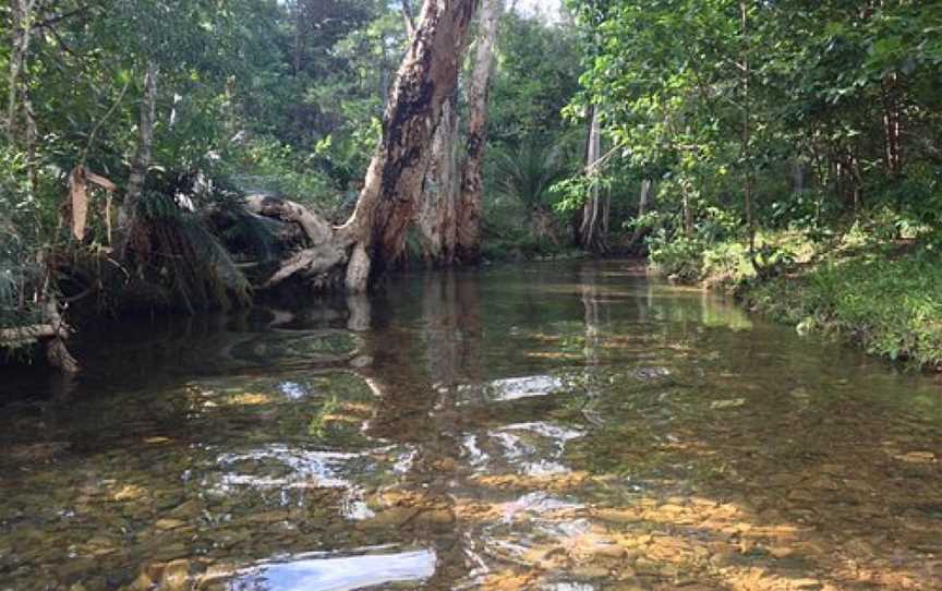 Waterpark Farm, Byfield, QLD