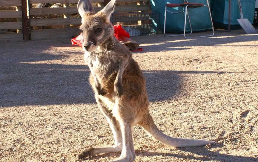 Hidden Gems of Daylesford Tours, Daylesford, VIC