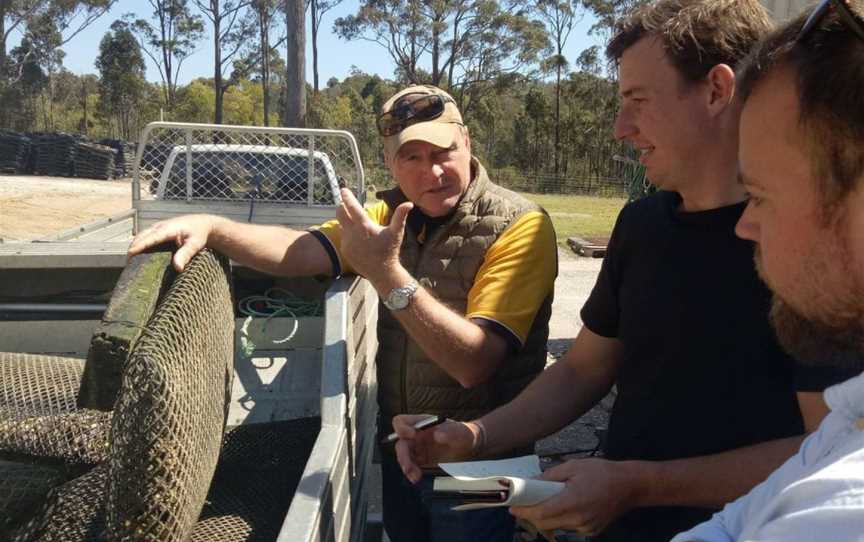 Wheeler's Oyster Farm Tour, Merimbula, NSW