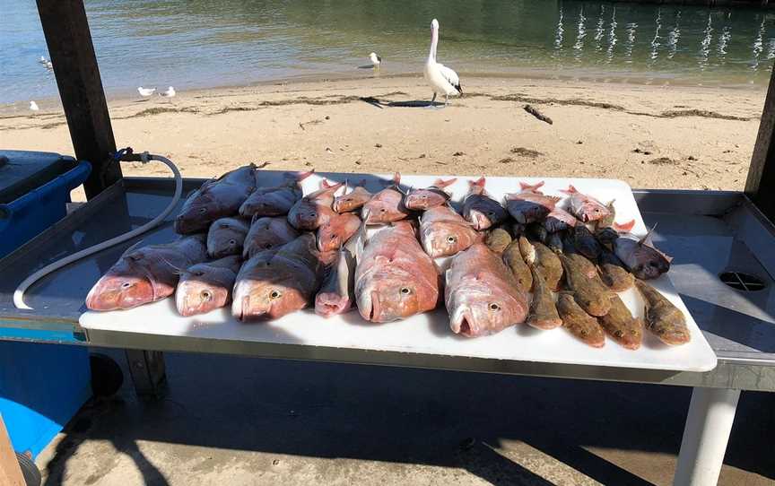 FarOut Charters, Lakes Entrance, VIC