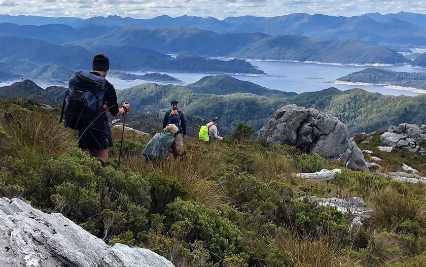 Wild Pedder, Hobart, TAS