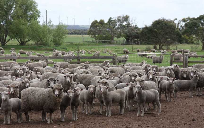 Gippsland Food Adventures - One Day Tours, Tarwin Lower, VIC