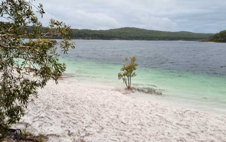 Fraser Discovery Tours, Urangan, QLD