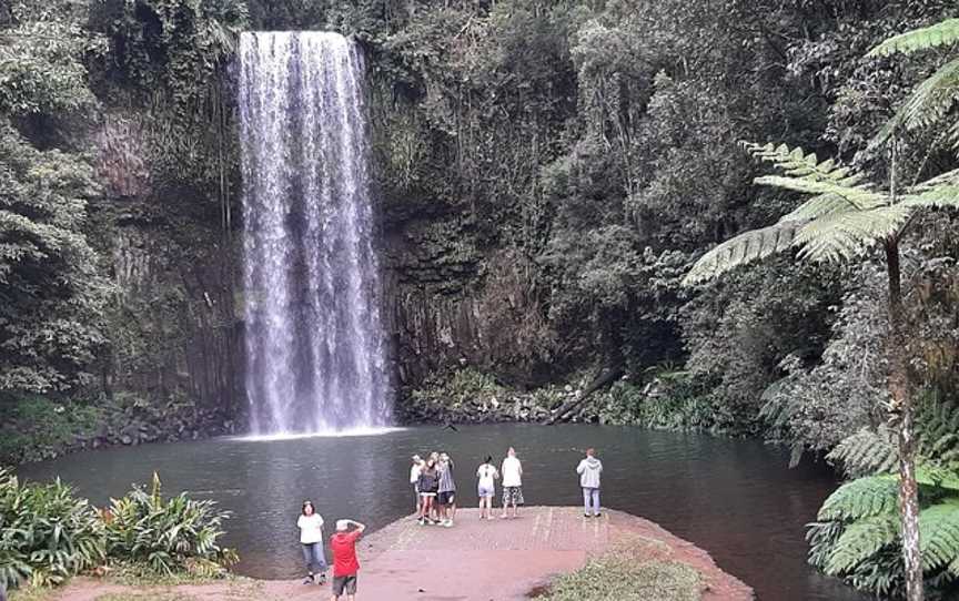 Yungaburra Tours, Yungaburra, QLD