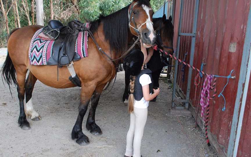 Ryders Horse Riding Tours, Labertouche, VIC