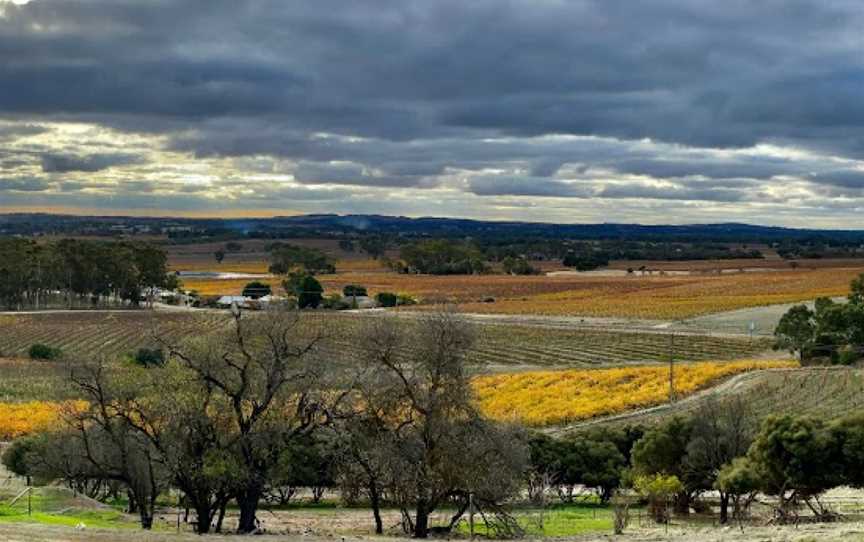 ExperienceSA, Tanunda, SA