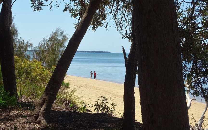 Coochie Guided Island Tours, Coochiemudlo Island, QLD