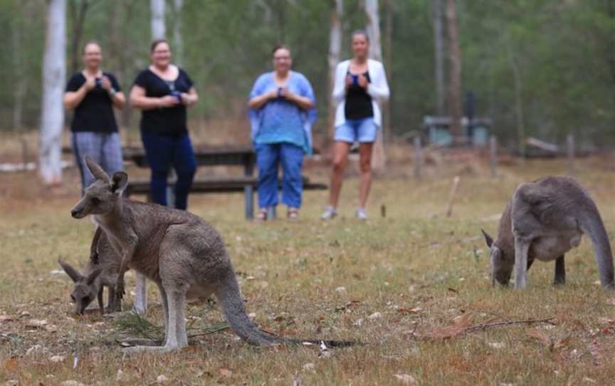 Great Camping Adventures, Mogo, NSW