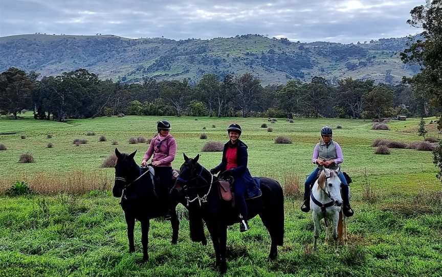 Pack Saddling Australia, Narbethong, VIC