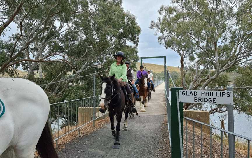 Pack Saddling Australia, Narbethong, VIC