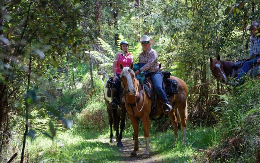 Pack Saddling Australia, Narbethong, VIC