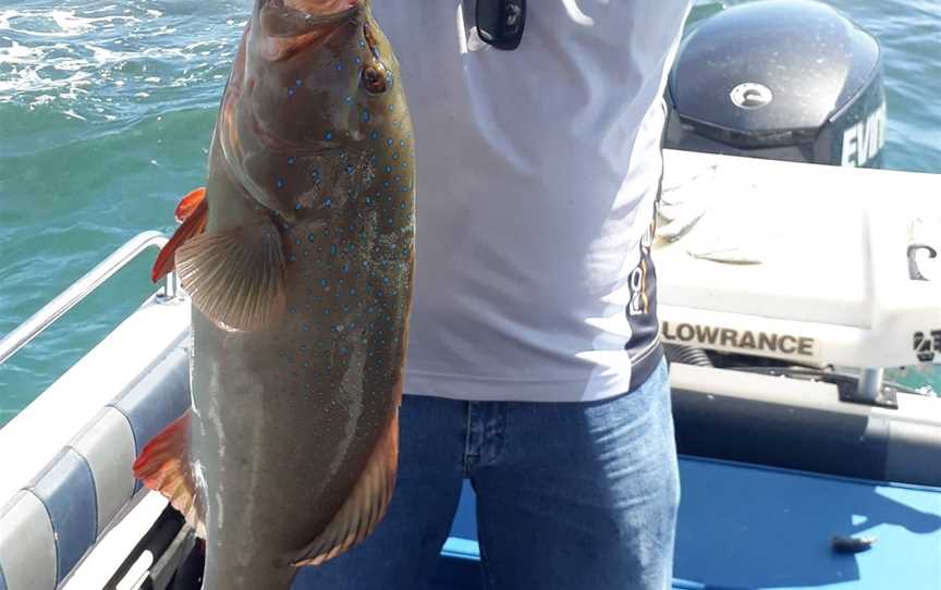 Horseshoe Bay Water Sports Fishing Charters, Magnetic Island, QLD