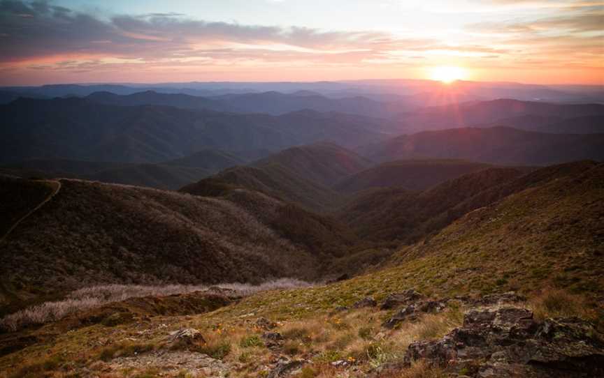 Mansfield Bushwalks, Mansfield, VIC