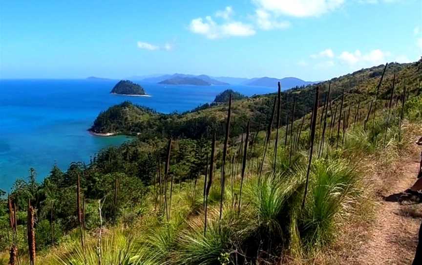 Bike and Hike Whitsunday, Airlie Beach, QLD