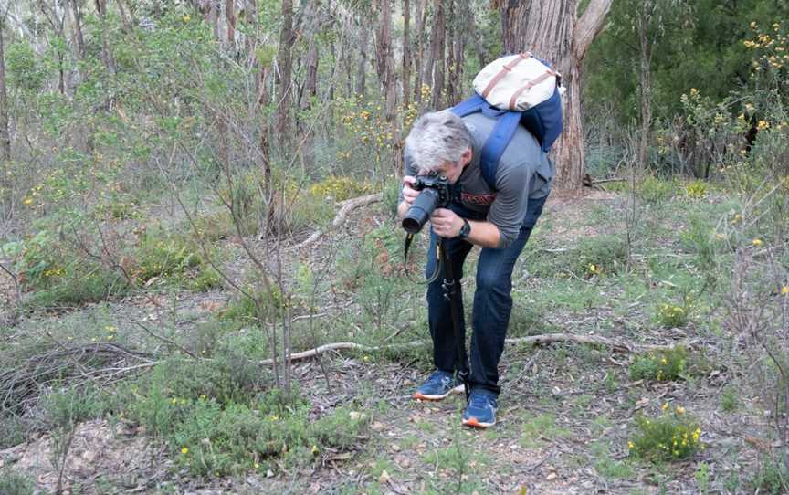 Echidna Ridge Bushland Experience, McLaren Vale, SA