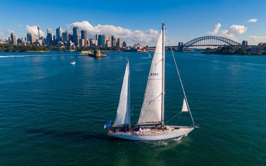 Swanning Around, Sydney, NSW