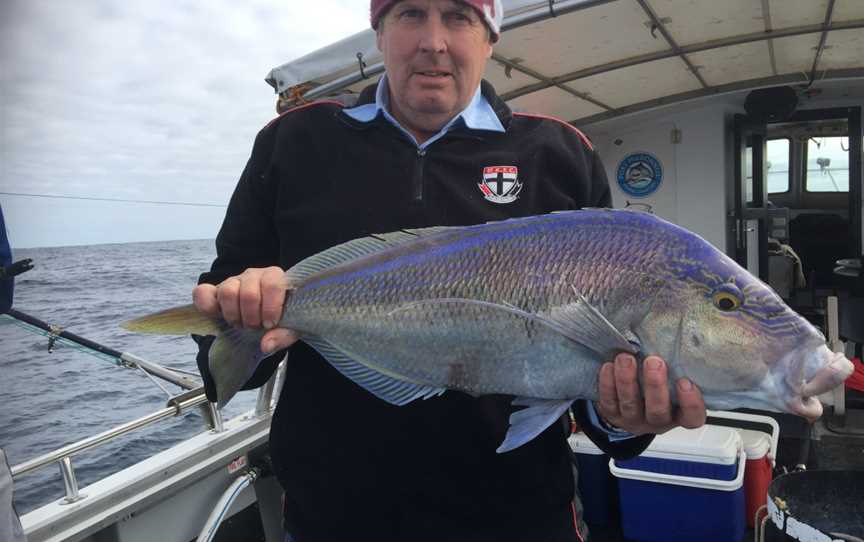 Port MacDonnell Fishing Charters, Port MacDonnell, SA