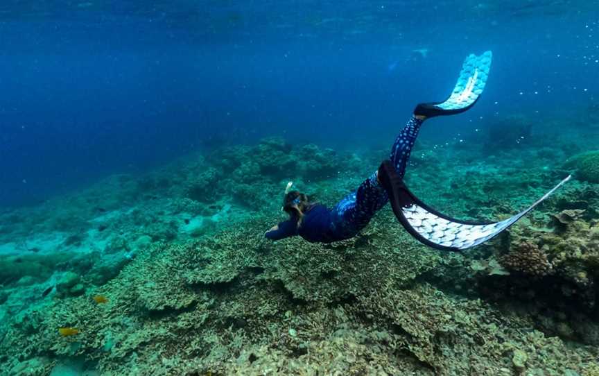 Coral Geographer, Cairns City, QLD