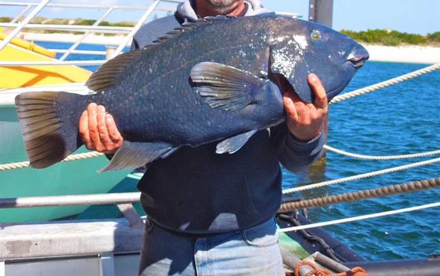 Black Jack Charters, Esperance, WA