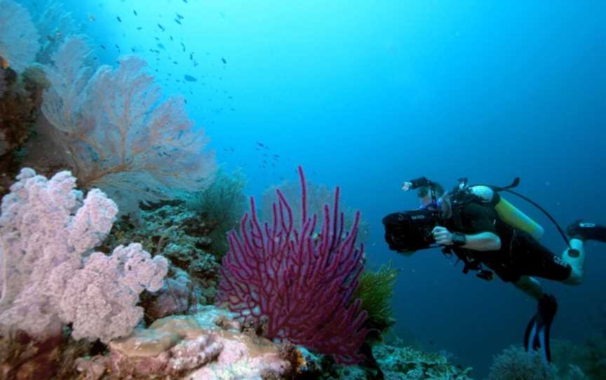 Dive Adventures, Sydney, NSW