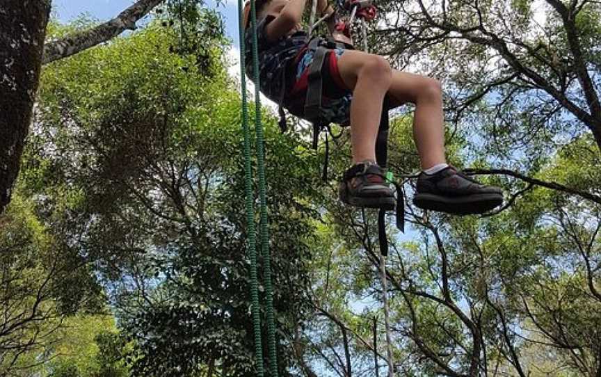 Treeco Climbing Adventures, Brunswick East, VIC