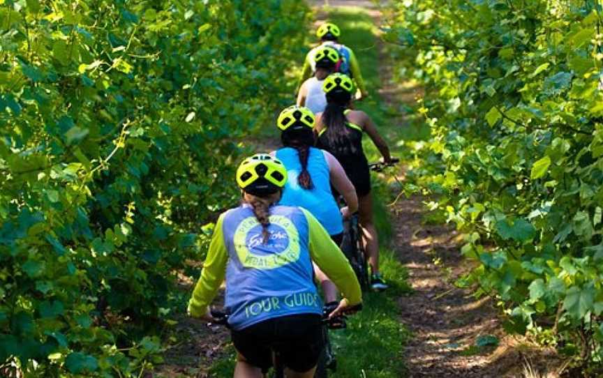 Peninsula Pedal Tours, Red Hill, VIC