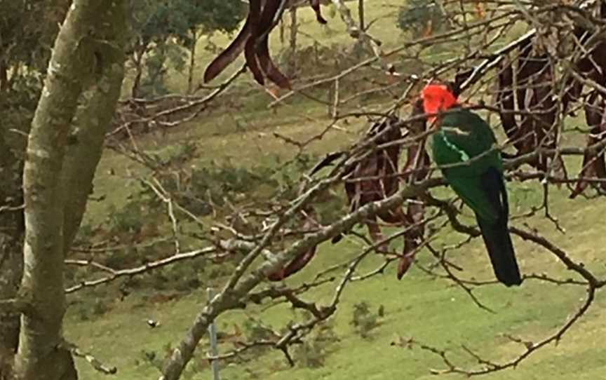 Springmead Farm Tours, Rydal, NSW