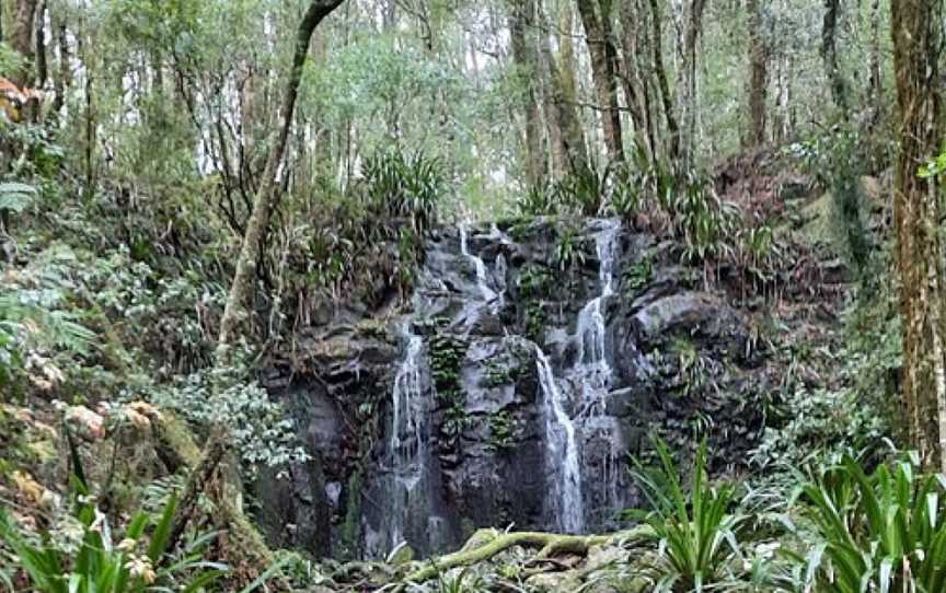 Hobbitywalks, Ipswich, QLD