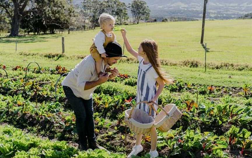 Jamberoo Valley Farm Tours, Jamberoo, NSW