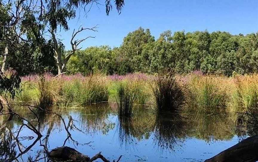 Nangak Tamboree Wildlife Sanctuary, Bundoora, VIC